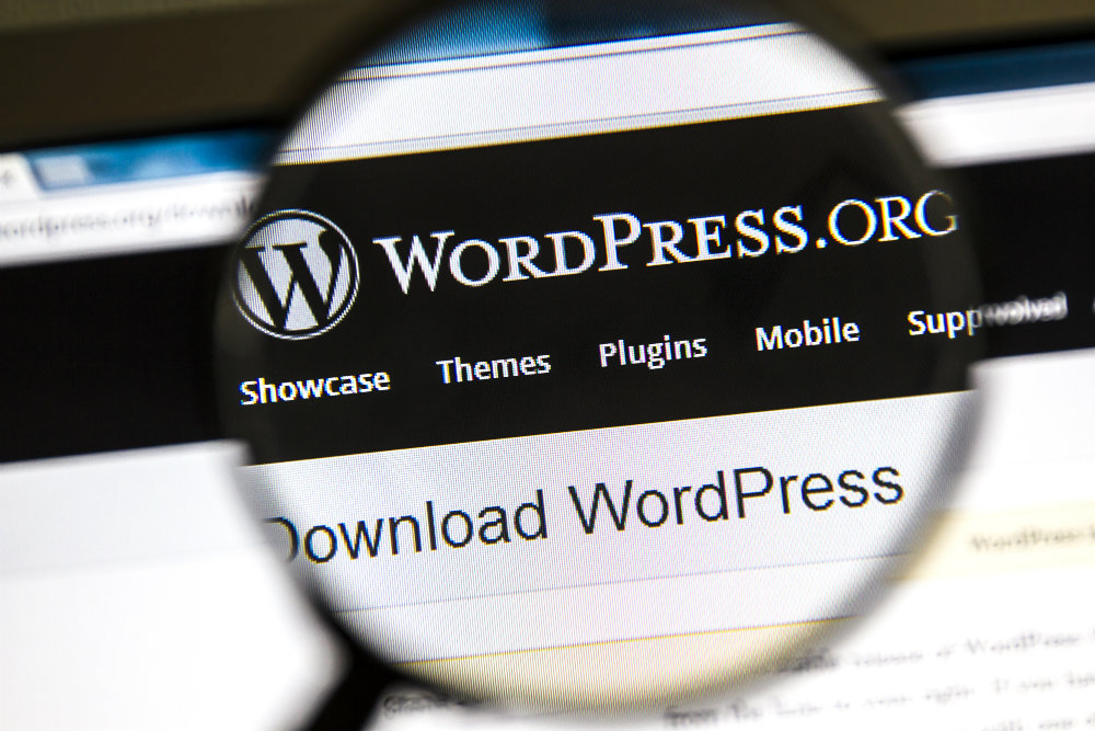 Aprenda como configurar a Plataforma WordPress em 5 passos!