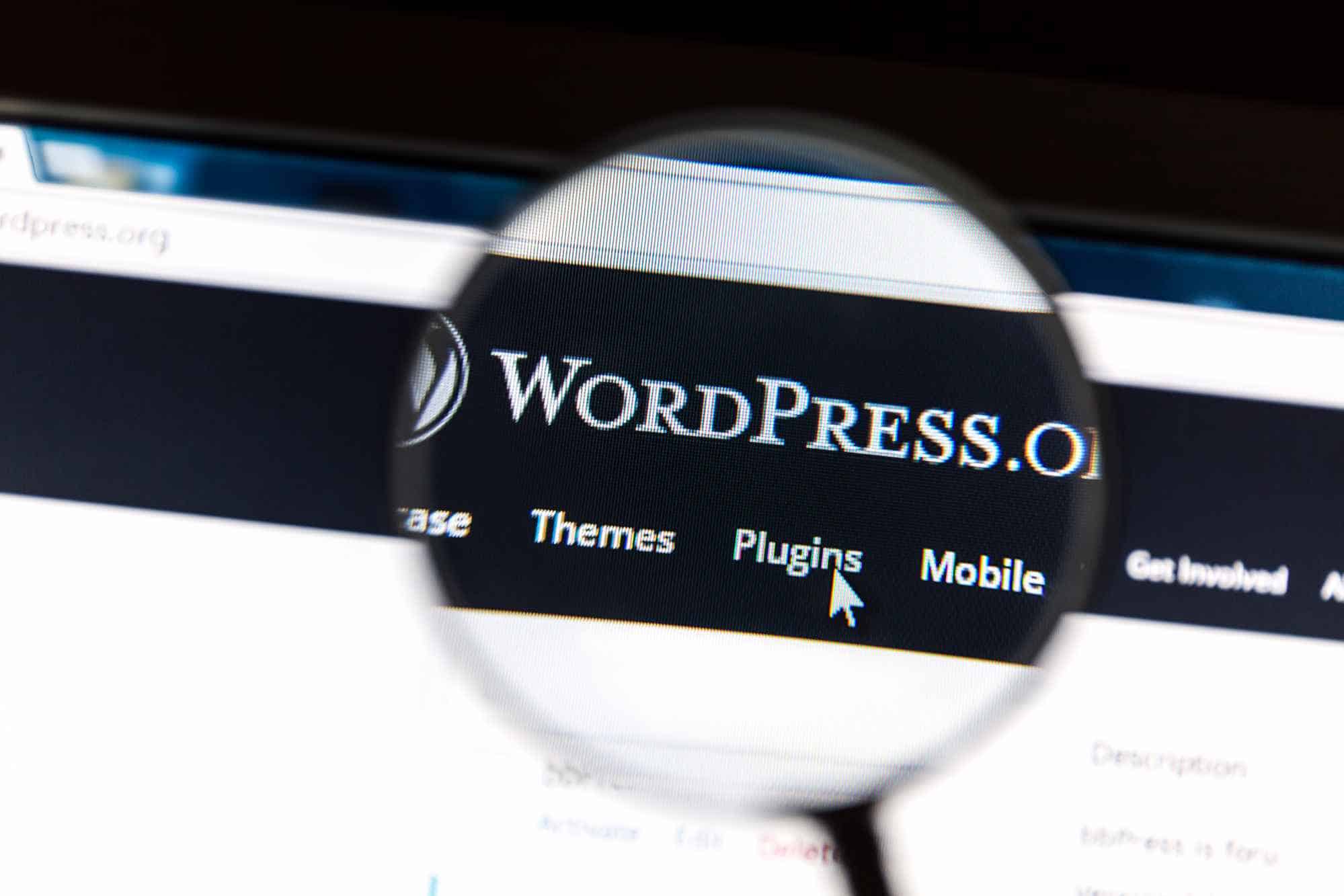 5 erros no WordPress que você deve evitar